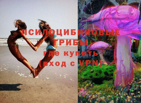 МДПВ Алексин