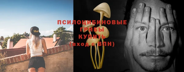 МДПВ Алексин
