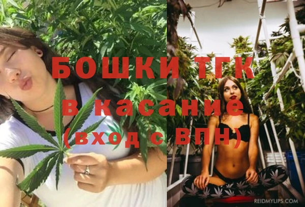 МДПВ Алексин