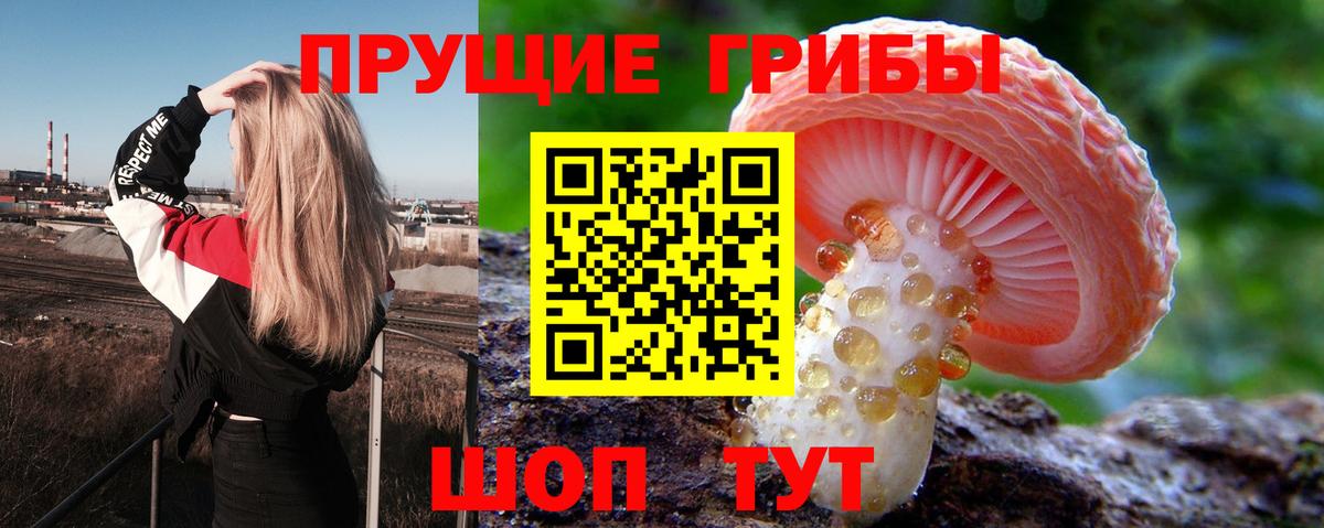 Галлюциногенные грибы Psilocybe  Вход с VPN  Галлюциногенные грибы Magic Shrooms  Мегион 